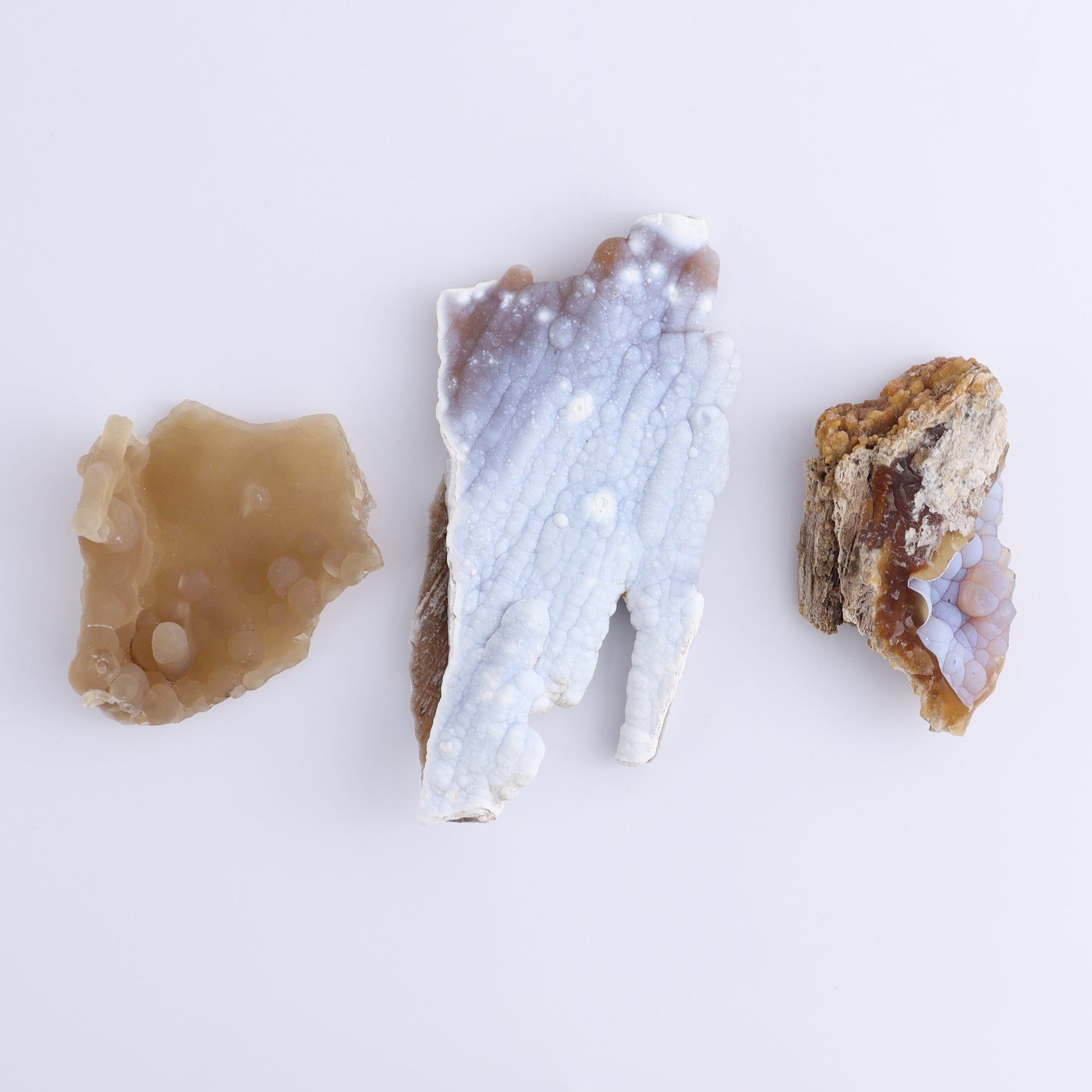 Agatized Coral Flat - Expert Wholesale and Supplier of Wholesale Crystals & Bulk Gemstones, ["Agate","Agatized Coral","Coral","United States"]