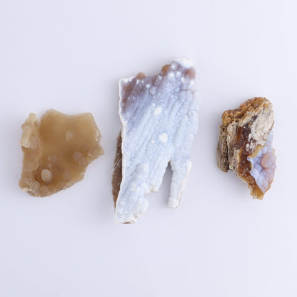 Agatized Coral Flat - Expert Wholesale and Supplier of Wholesale Crystals & Bulk Gemstones, ["Agate","Agatized Coral","Coral","United States"]