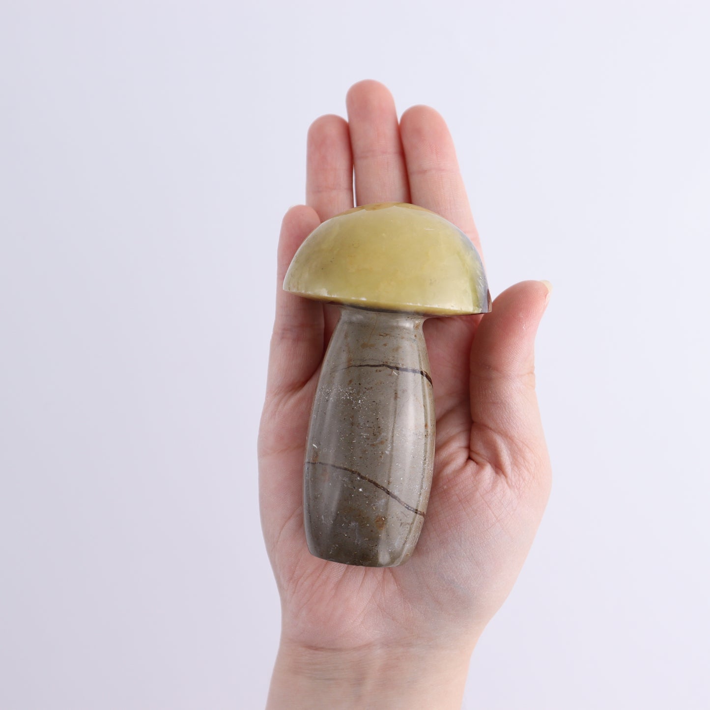 Septarian Mushrooms Set of 13 - Expert Wholesale and Supplier of Wholesale Crystals & Bulk Gemstones, ["Mushrooms","Septarian"]