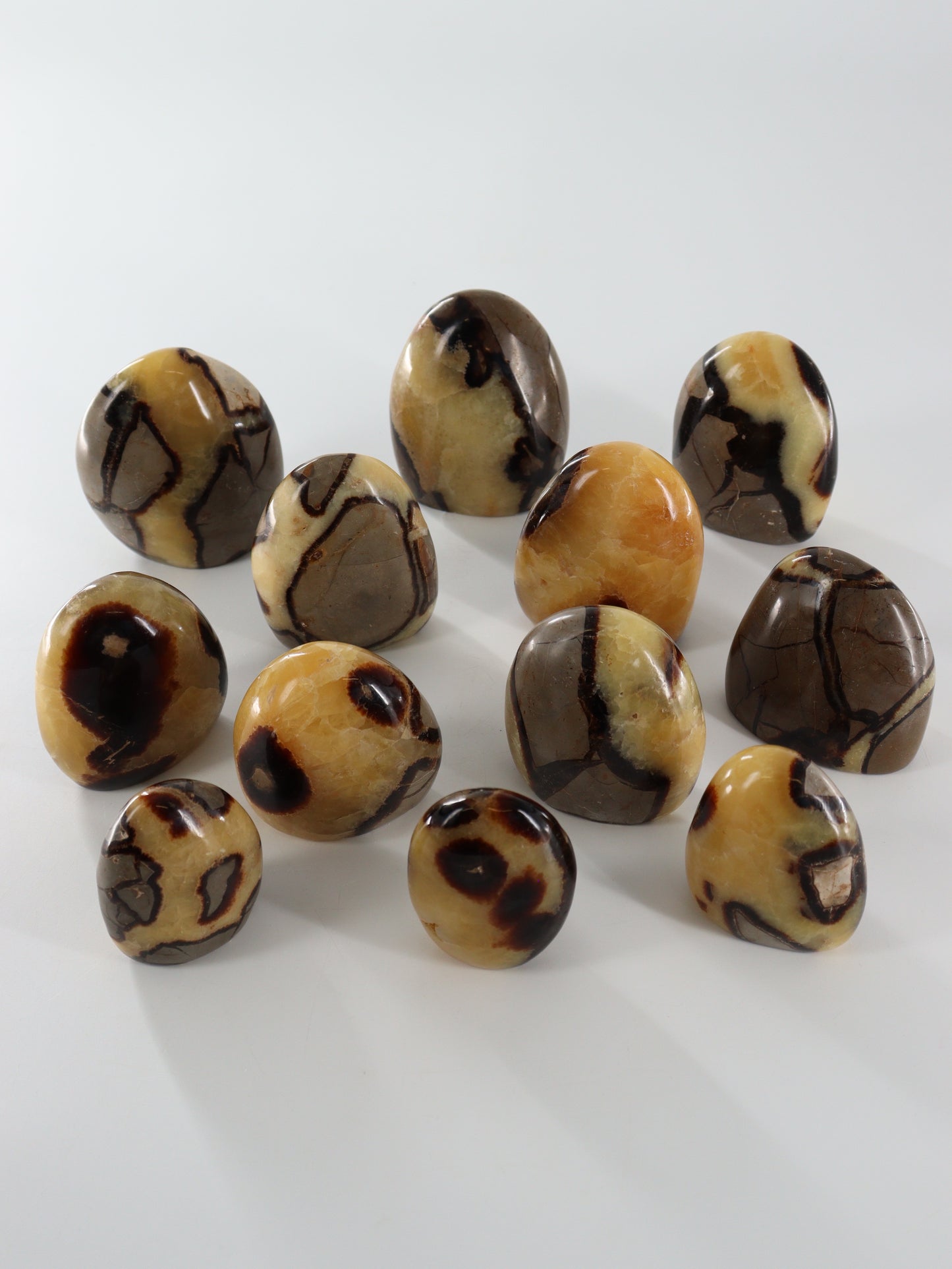 Sepatarian Freeforms Set of 12 - Expert Wholesale and Supplier of Wholesale Crystals & Bulk Gemstones, []