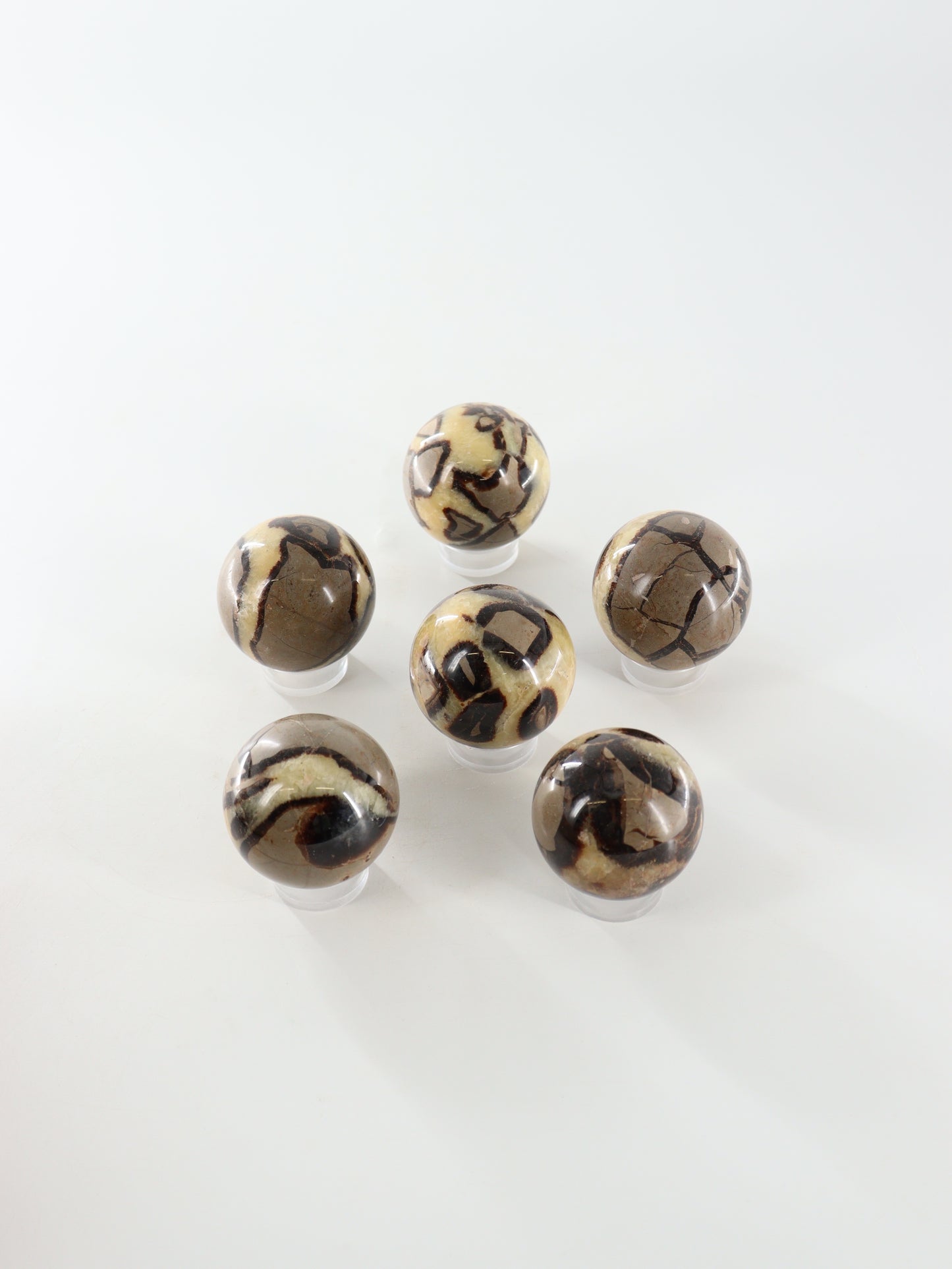 Septarian Spheres Set of 6 - Expert Supplier of Wholesale Crystals & Bulk Gemstones