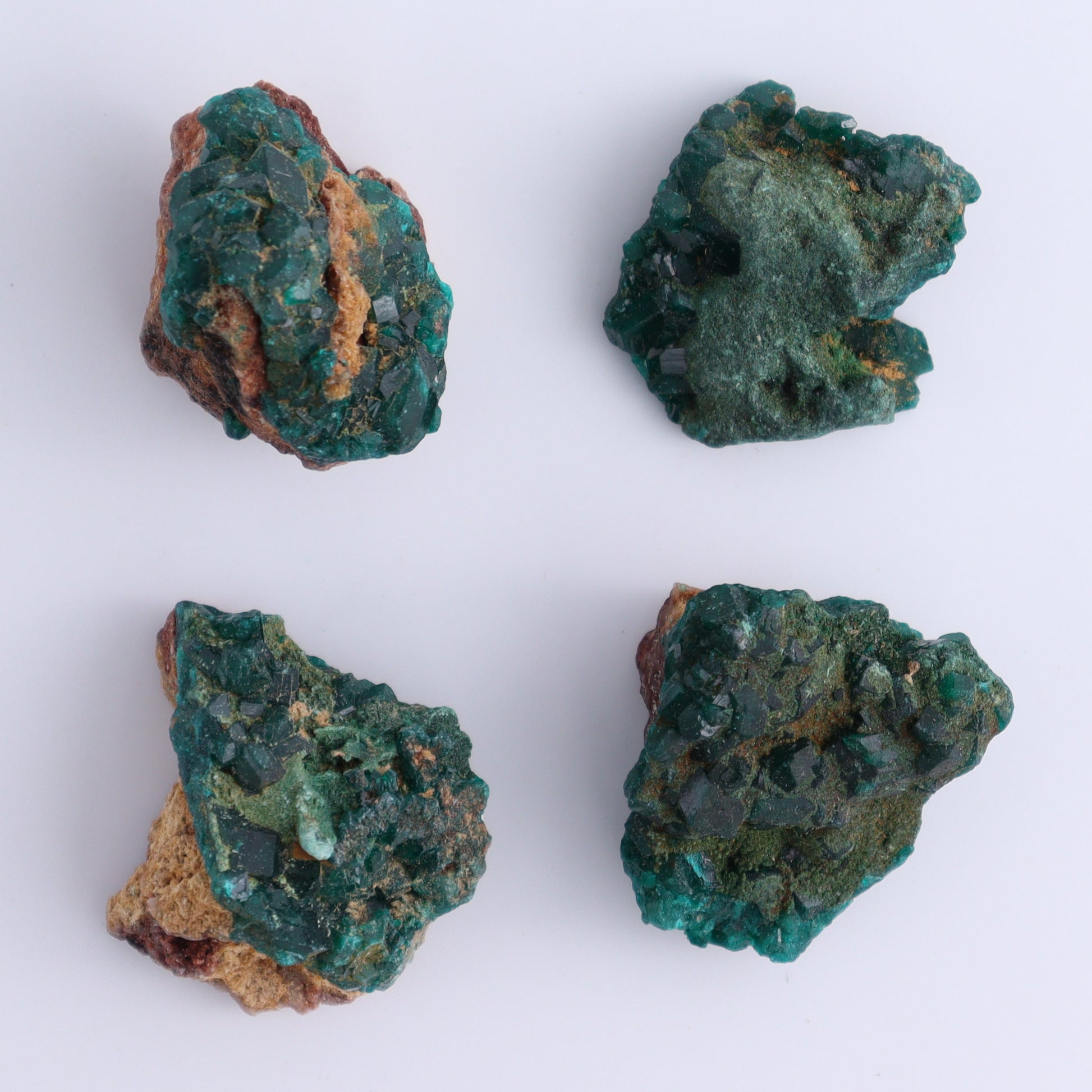 Dioptase Set of 12 - Expert Wholesale and Supplier of Wholesale Crystals & Bulk Gemstones, ["dioptase","Freeform","Freeforms"]
