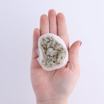 Blue Barite from Morocco Flat - Expert Wholesale and Supplier of Wholesale Crystals & Bulk Gemstones, ["Barite","Blue Barite","Clusters","Flats","Morocco"]