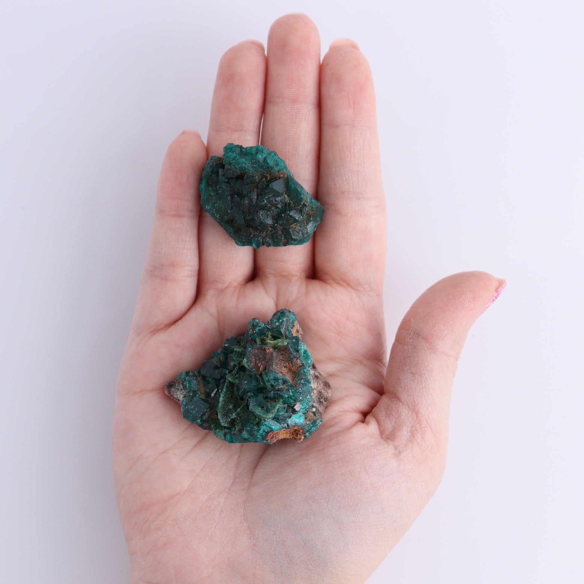 Dioptase Set of 12 - Expert Wholesale and Supplier of Wholesale Crystals & Bulk Gemstones, ["dioptase","Freeform","Freeforms"]