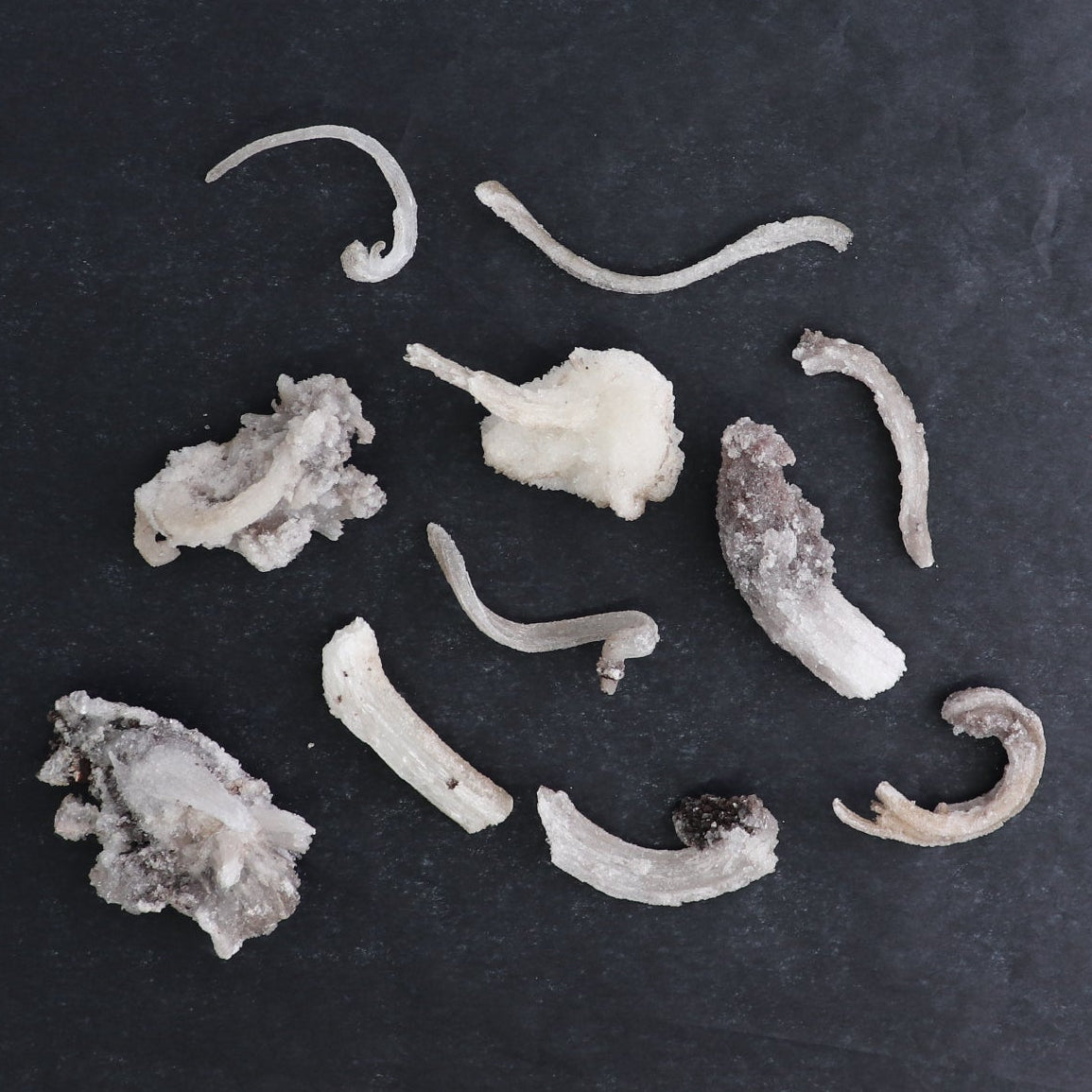Rams Horn Selenite Flat