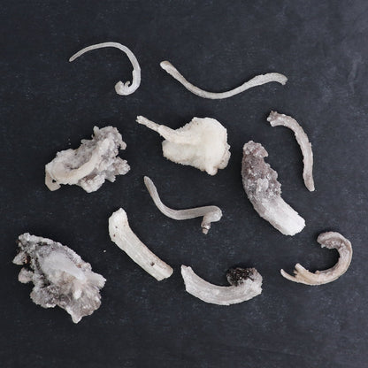 Rams Horn Selenite Flat