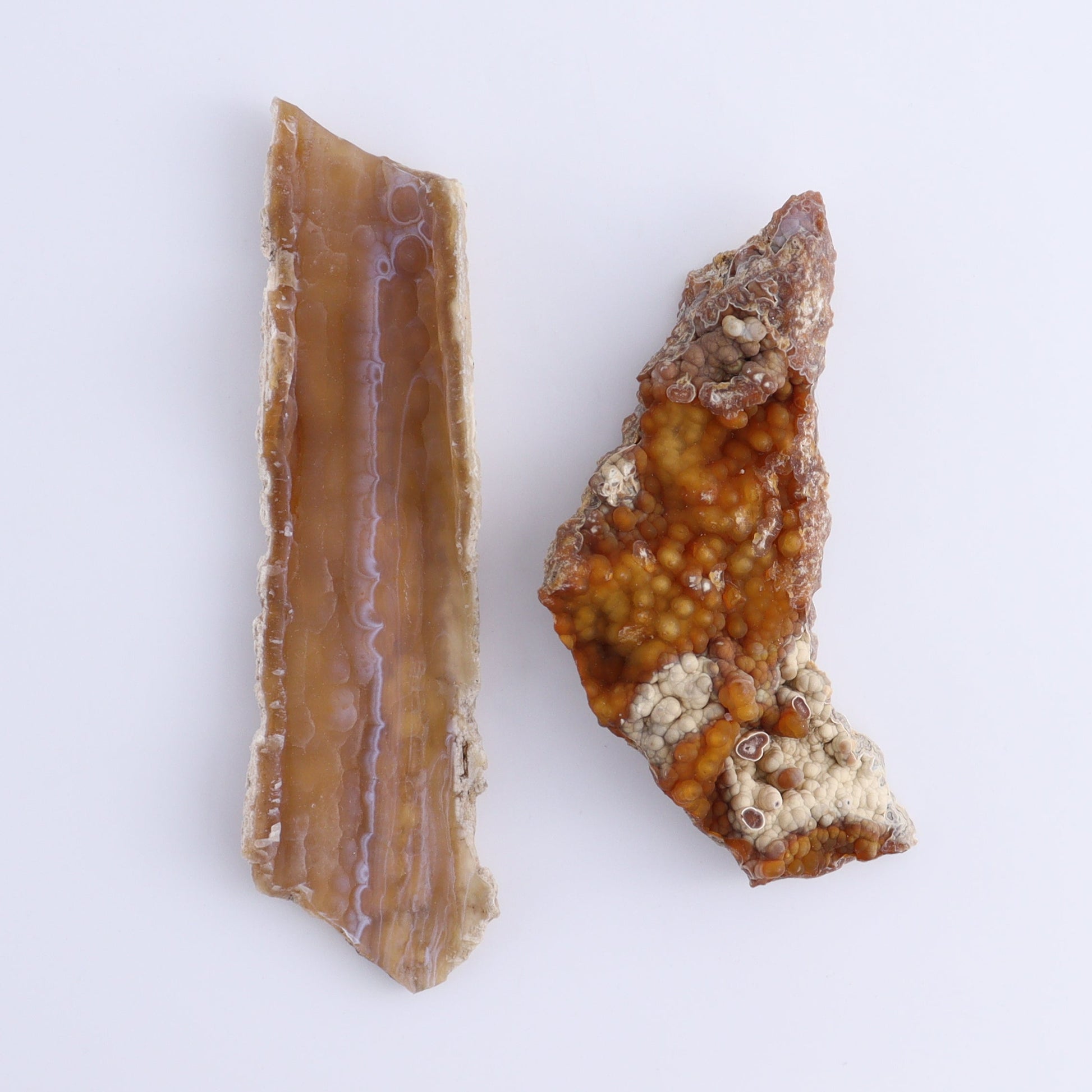 Agatized Coral Flat - Expert Wholesale and Supplier of Wholesale Crystals & Bulk Gemstones, ["Agate","Agatized Coral","Coral","United States"]