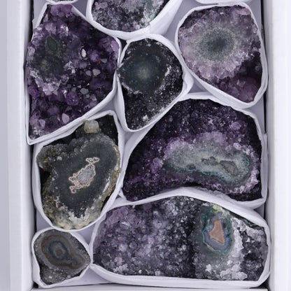 Uruguay Amethyst Clusters with "Eyes" Flat of 10 - Expert Wholesale and Supplier of Wholesale Crystals & Bulk Gemstones, ["Amethyst","Clusters","Eyes Amethyst","Uruguay"]