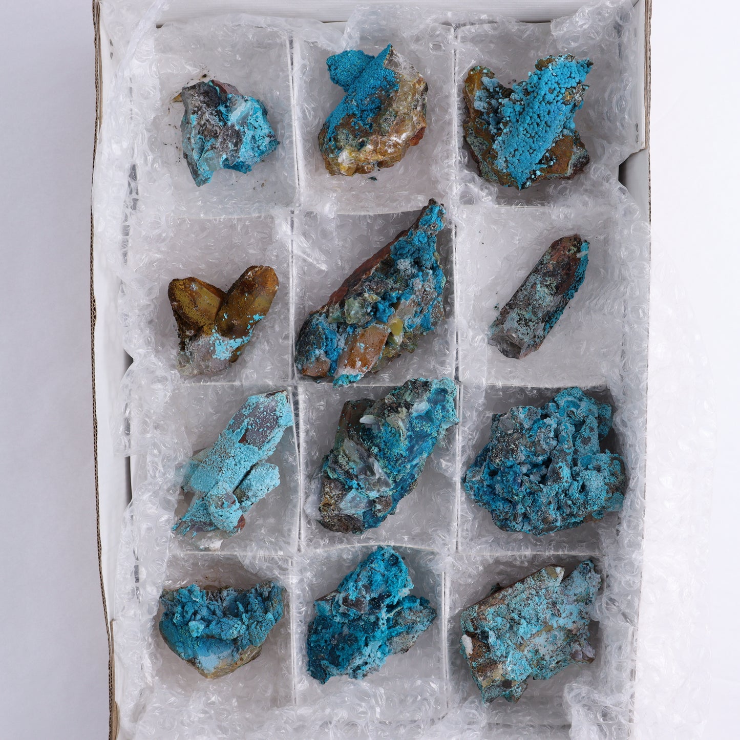 Chrysocolla on Quartz Roughs Set of 12