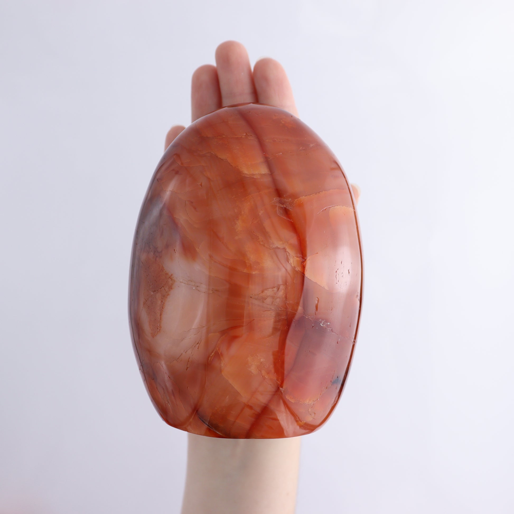 Carnelian Freeform Set of 10 - Expert Wholesale and Supplier of Wholesale Crystals & Bulk Gemstones, ["carnelian","Freeforms","Madagascar"]