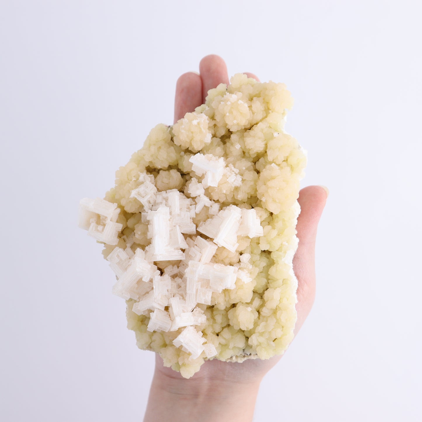 Halite Set of 6 - Expert Wholesale and Supplier of Wholesale Crystals & Bulk Gemstones, ["Halite","halite on trona","United States"]