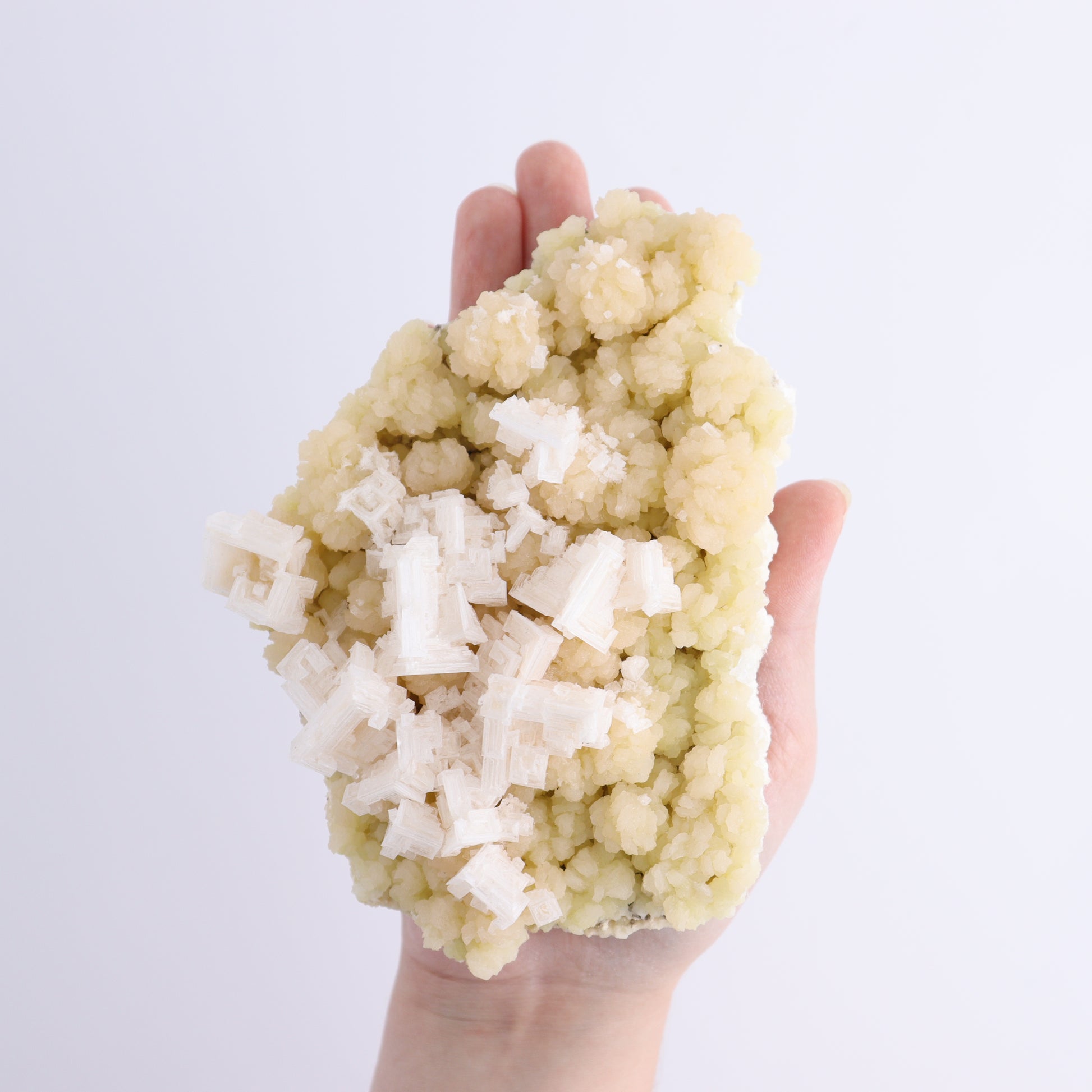 Halite Set of 6 - Expert Wholesale and Supplier of Wholesale Crystals & Bulk Gemstones, ["Halite","halite on trona","United States"]