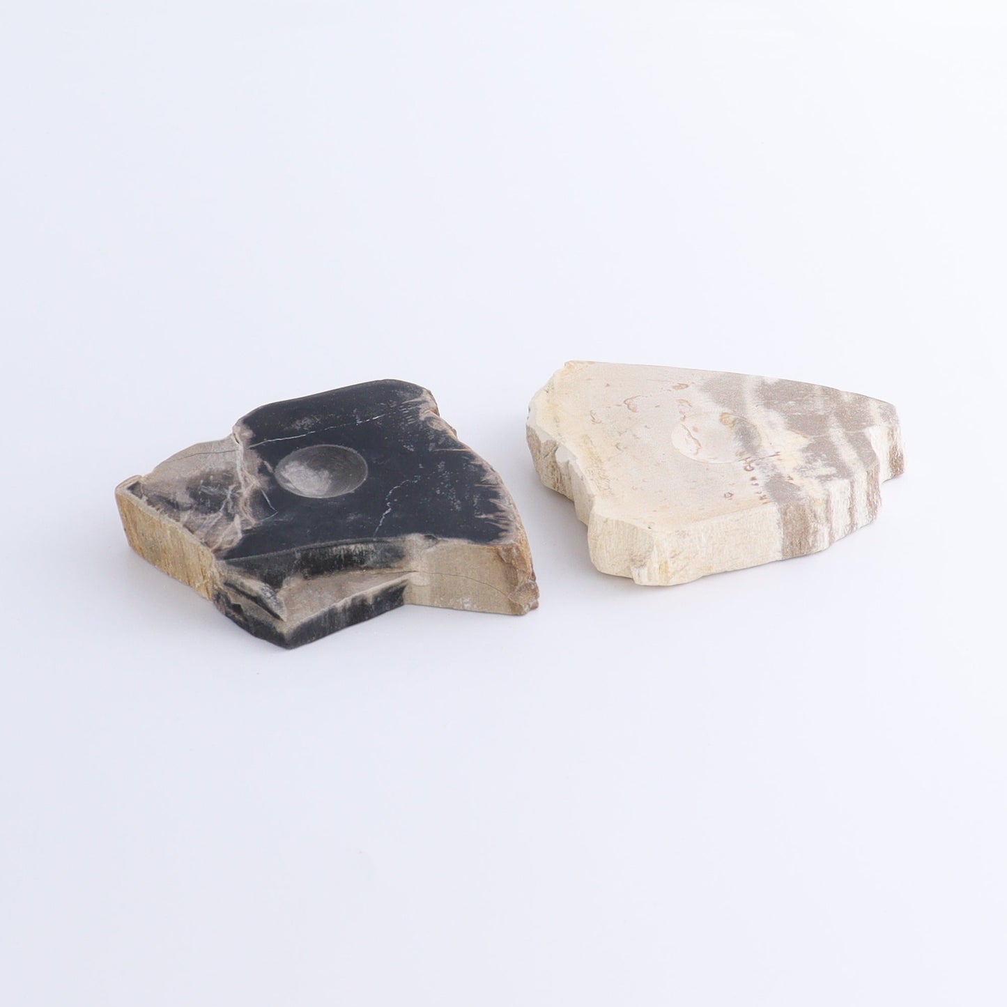 Petrified Wood Sphere Holders Set of 5 - Expert Wholesale and Supplier of Wholesale Crystals & Bulk Gemstones, ["Petrified Wood","sphere holder"]