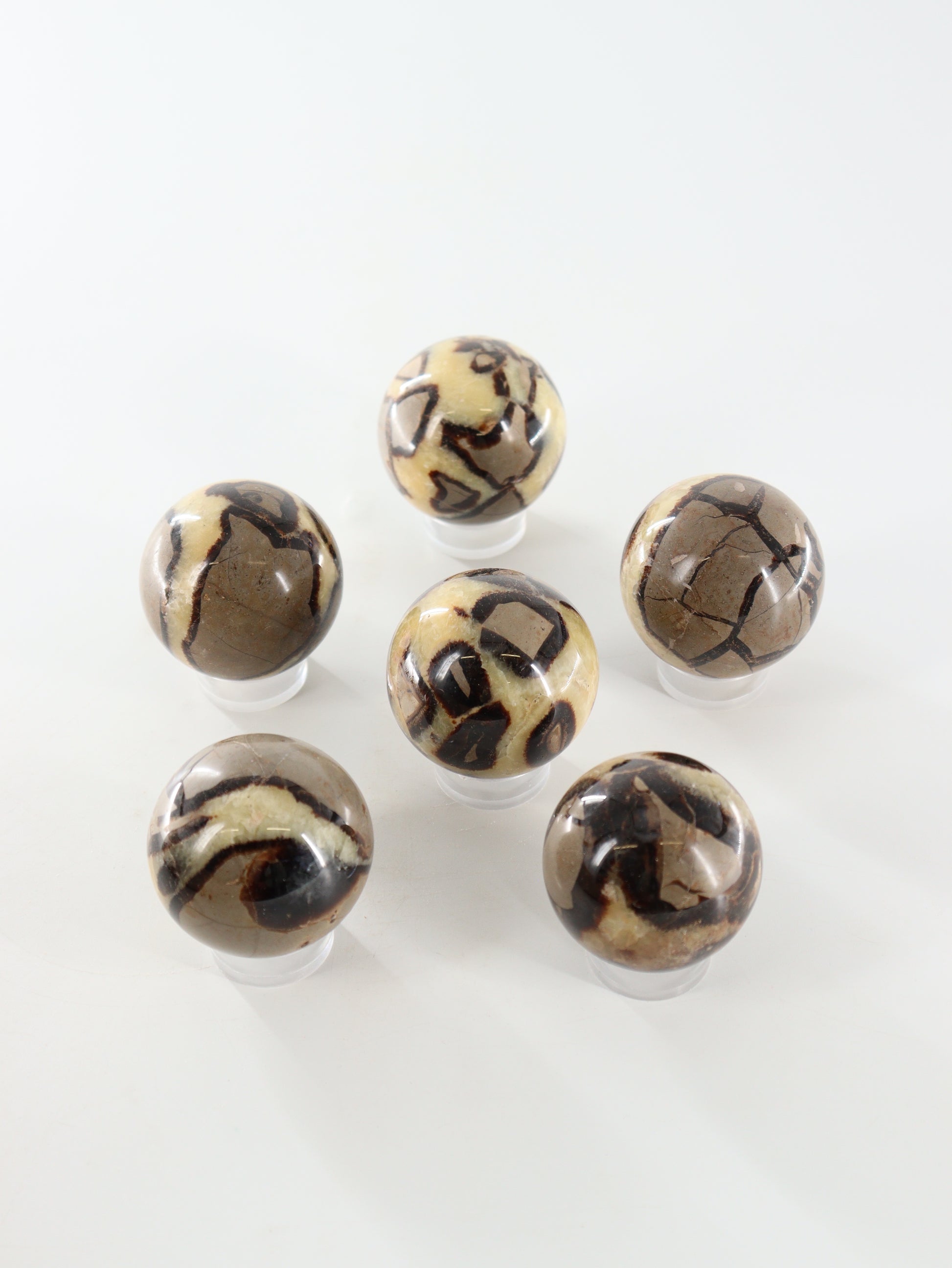 Septarian Spheres Set of 6 - Expert Supplier of Wholesale Crystals & Bulk Gemstones