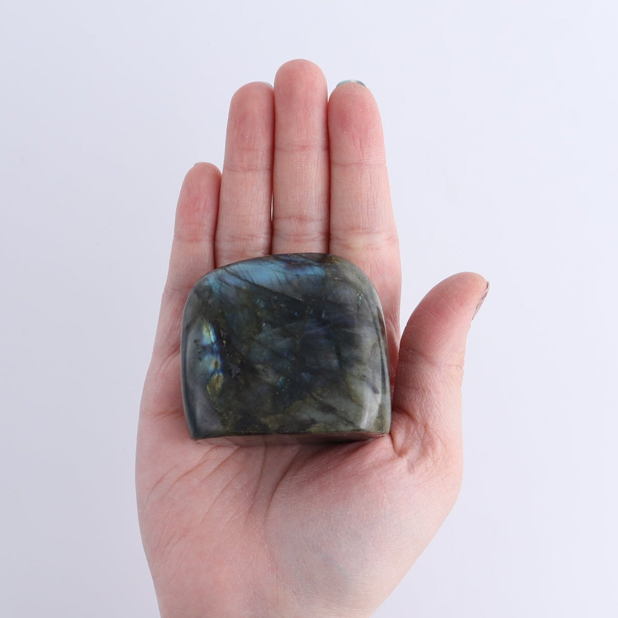 Labradorite Freeform Set of 7