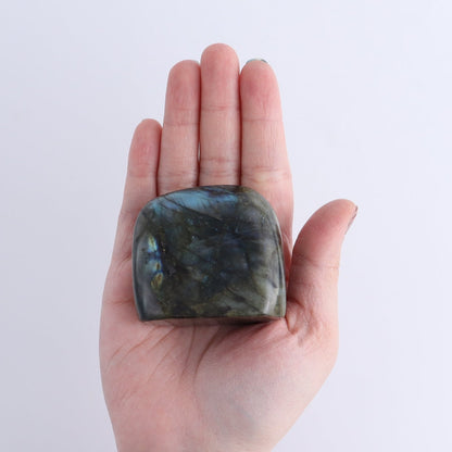 Labradorite Freeform Set of 7