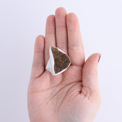 Uruguay Rainbow Amethyst Clusters Flat of 14