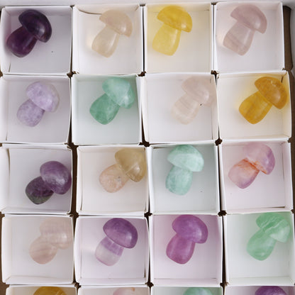 Fluorite Mushrooms Set of 24 - Expert Wholesale and Supplier of Wholesale Crystals & Bulk Gemstones, ["Fluorite","Mushrooms"]