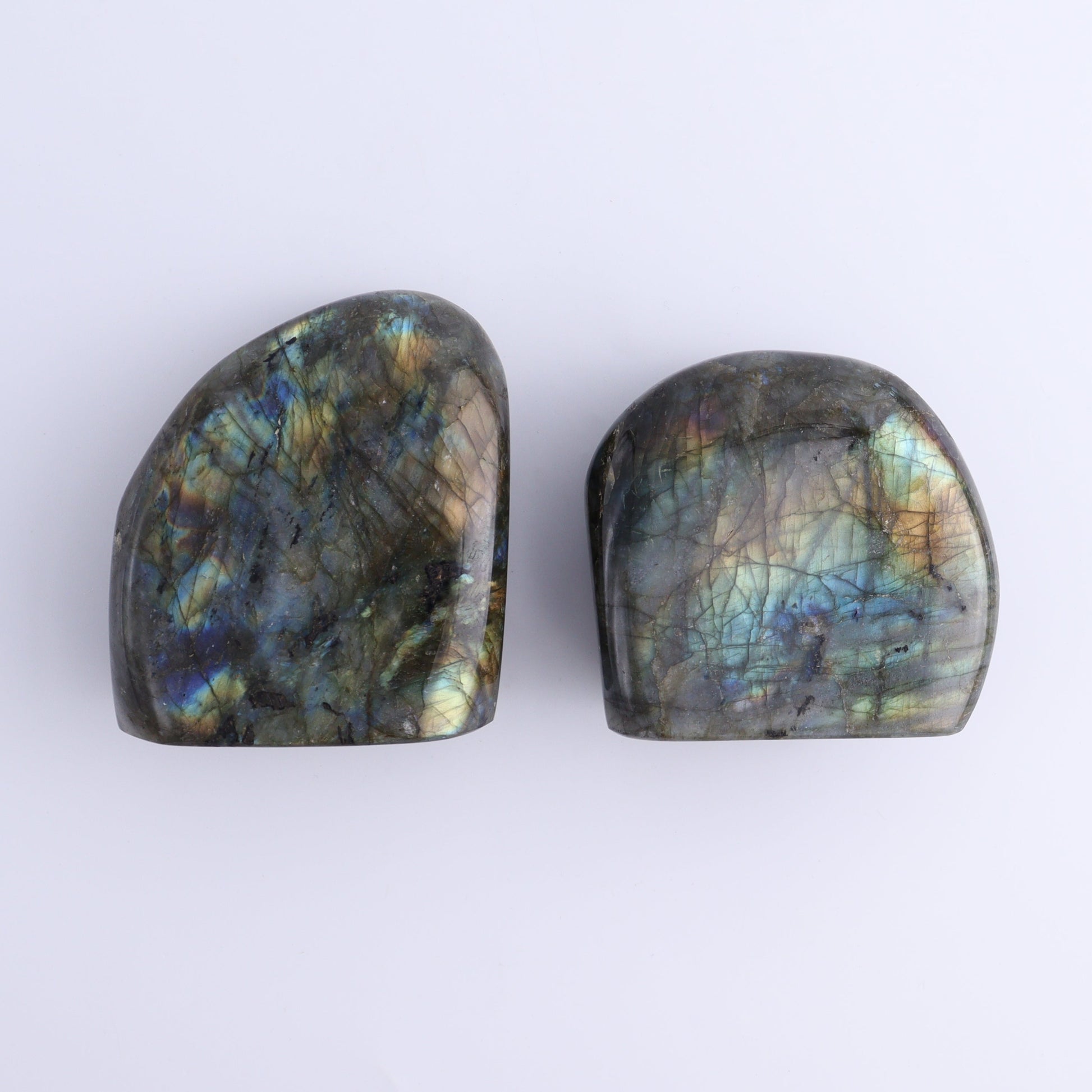 Labradorite Freeform Set of 7 - Expert Wholesale and Supplier of Wholesale Crystals & Bulk Gemstones, ["Freeforms","Labradorite","Madagascar"]