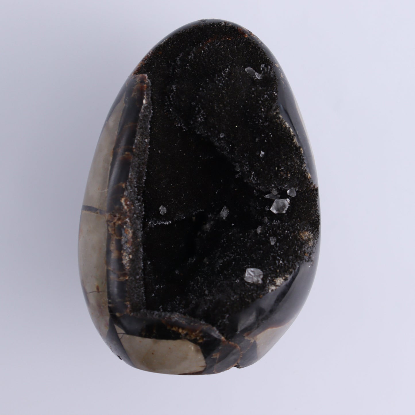 Septarian Cut Bases Set of 4 - Expert Wholesale and Supplier of Wholesale Crystals & Bulk Gemstones, ["Cut Base","Septarian"]
