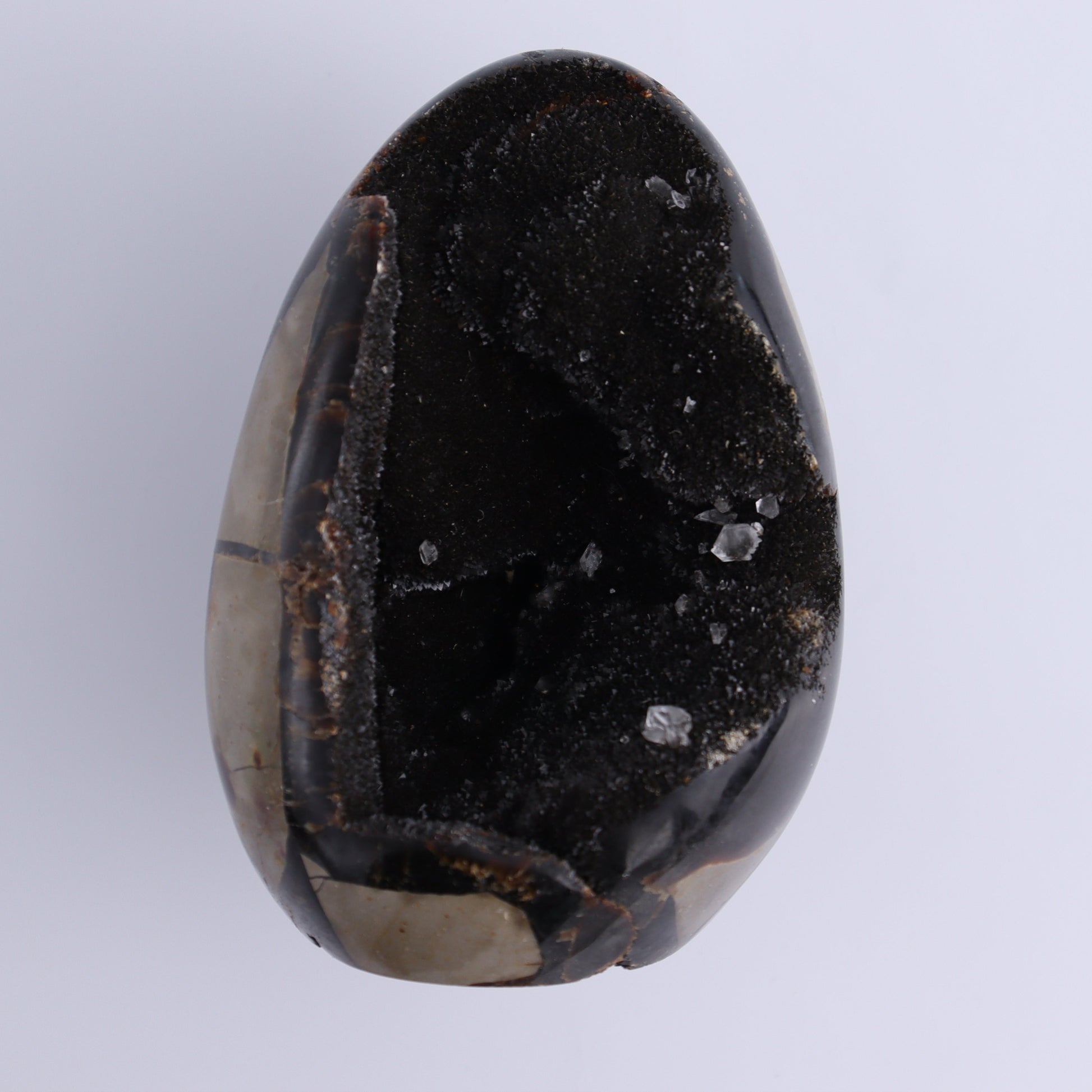 Septarian Cut Bases Set of 4 - Expert Wholesale and Supplier of Wholesale Crystals & Bulk Gemstones, ["Cut Base","Septarian"]