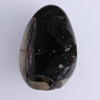 Septarian Cut Bases Set of 4 - Expert Wholesale and Supplier of Wholesale Crystals & Bulk Gemstones, ["Cut Base","Septarian"]