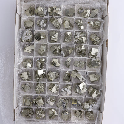 Pyrite Flat of 54 - Expert Wholesale and Supplier of Wholesale Crystals & Bulk Gemstones, ["flat","Flats","Pyrite"]