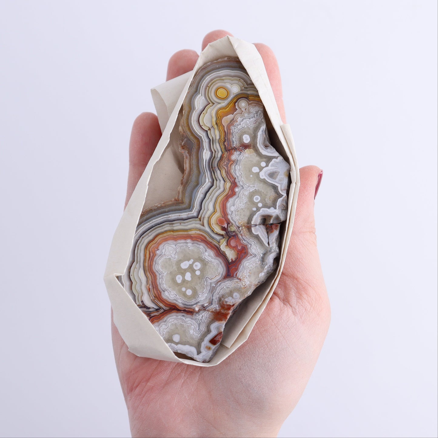 Crazy Lace Agate Flat of 12 - Expert Wholesale and Supplier of Wholesale Crystals & Bulk Gemstones, ["Crazy Lace Agate","Mexico"]