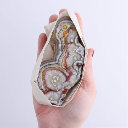 Crazy Lace Agate Flat of 12 - Expert Wholesale and Supplier of Wholesale Crystals & Bulk Gemstones, ["Crazy Lace Agate","Mexico"]