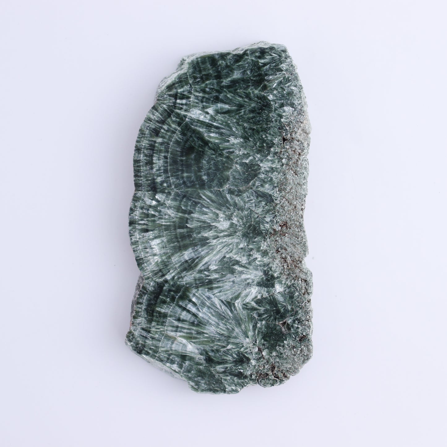 Seraphinite Slices Set of 4 - Expert Wholesale and Supplier of Wholesale Crystals & Bulk Gemstones, ["Russia","Seraphinite","Slices and Slabs"]