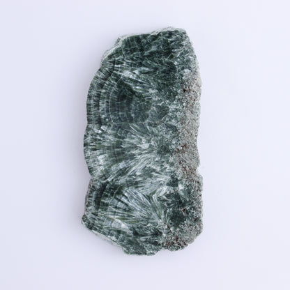 Seraphinite Slices Set of 4 - Expert Wholesale and Supplier of Wholesale Crystals & Bulk Gemstones, ["Russia","Seraphinite","Slices and Slabs"]