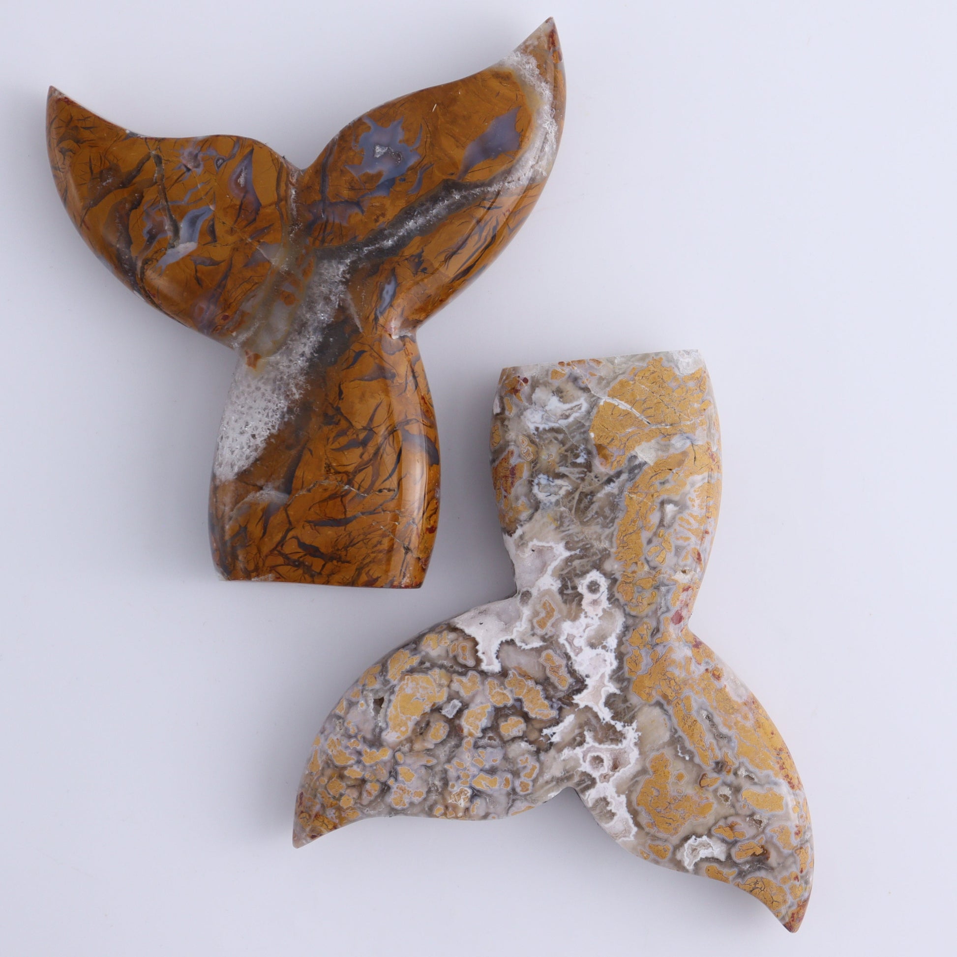 Brecciated Jasper Mermaid Tail Set of 6 - Expert Wholesale and Supplier of Wholesale Crystals & Bulk Gemstones, ["Brecciated Jasper","Indonesia","Mermaid Tail"]