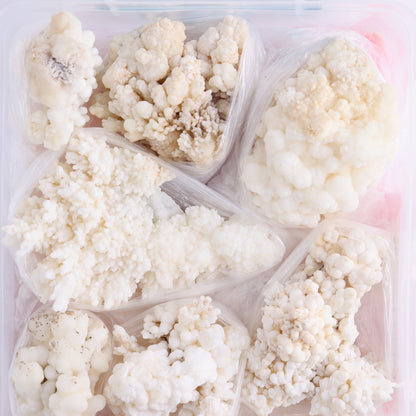 Calcite Aragnotie Flat from Morocco - Expert Wholesale and Supplier of Wholesale Crystals & Bulk Gemstones, ["aragonite","Calcite","Flats","Morocco"]