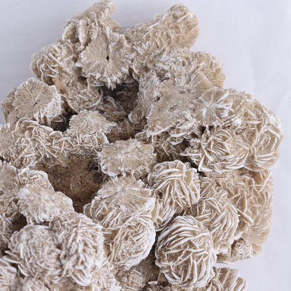 Desert Rose Cluster - Expert Wholesale and Supplier of Wholesale Crystals & Bulk Gemstones, ["Desert Rose","Freeforms"]