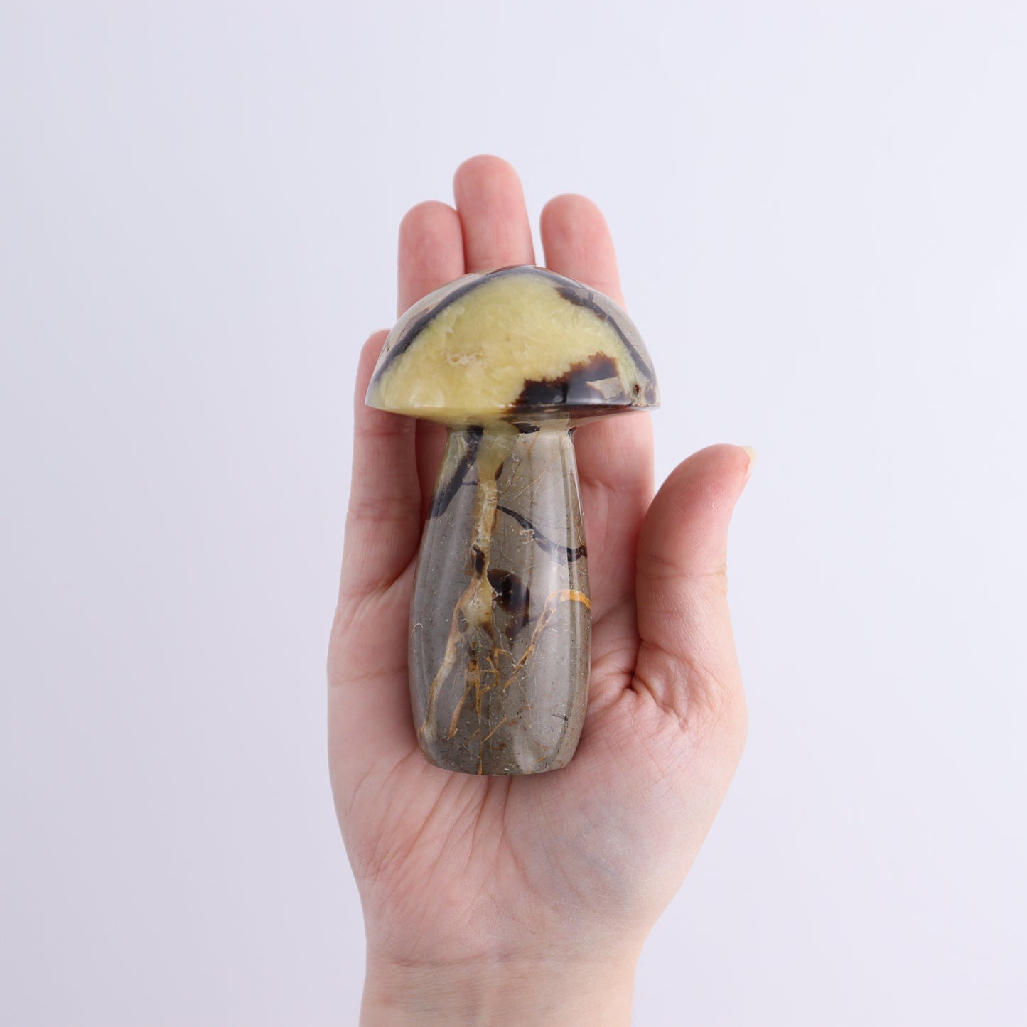 Septarian Mushrooms Set of 9 - Expert Wholesale and Supplier of Wholesale Crystals & Bulk Gemstones, ["Mushrooms","Septarian"]
