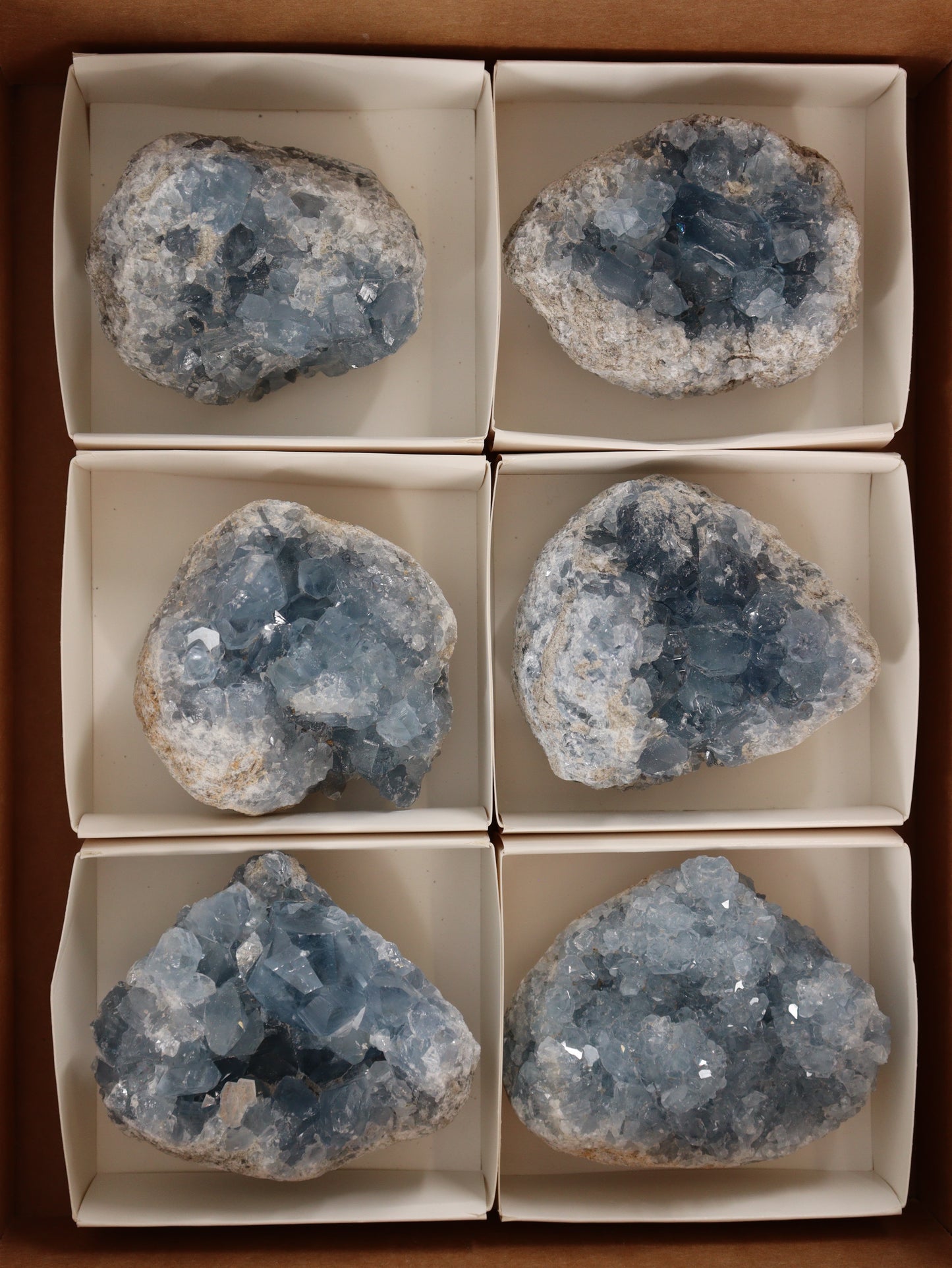 Celestite Clusters Set of 6 - Expert Wholesale and Supplier of Wholesale Crystals & Bulk Gemstones, []
