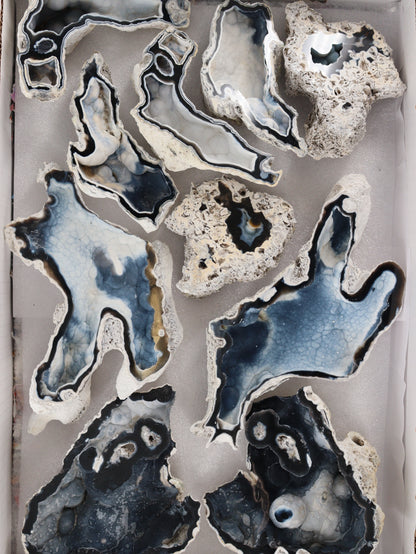 Agatized Coral Set of 10 - Expert Wholesale and Supplier of Wholesale Crystals & Bulk Gemstones, []