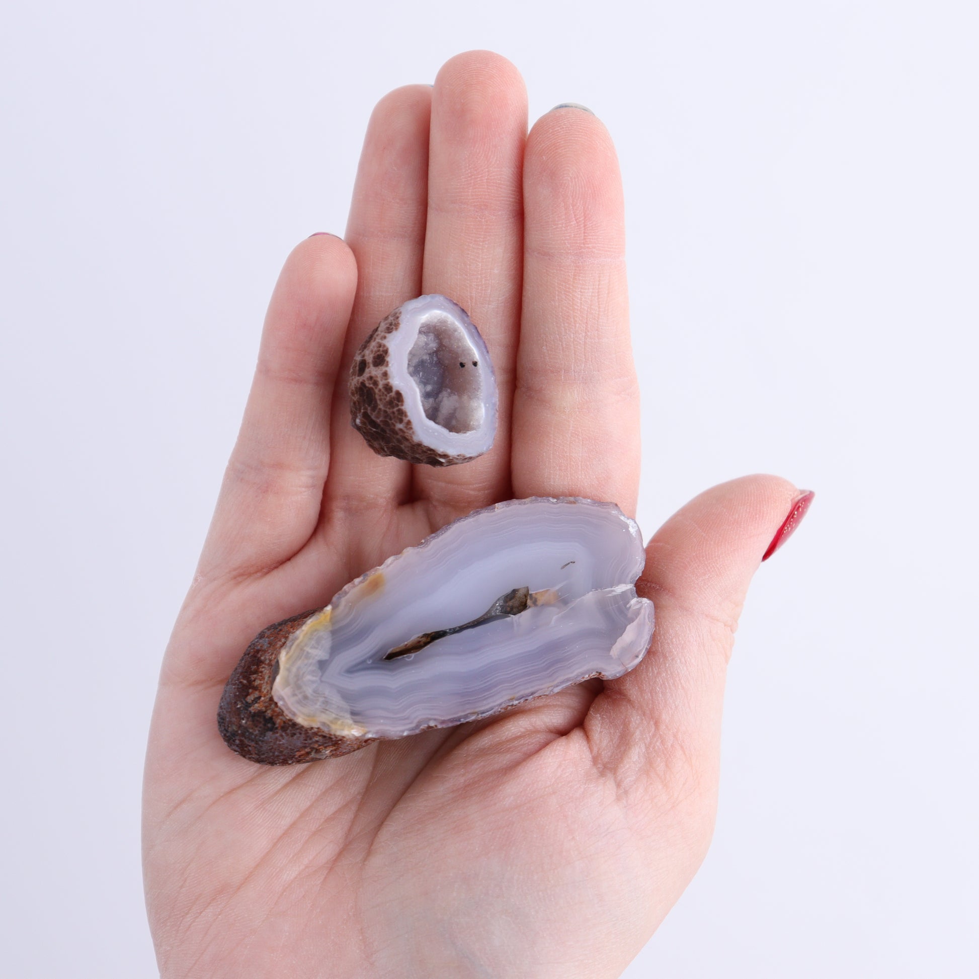 Coyamito Agate Geodes from Mexico Set of 8 - Expert Wholesale and Supplier of Wholesale Crystals & Bulk Gemstones, ["Agate","Coyamito Agate","Geodes","Mexico"]