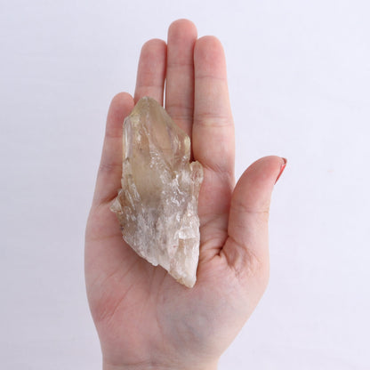 Congo Citrine Set of 6 - wholesale crystals