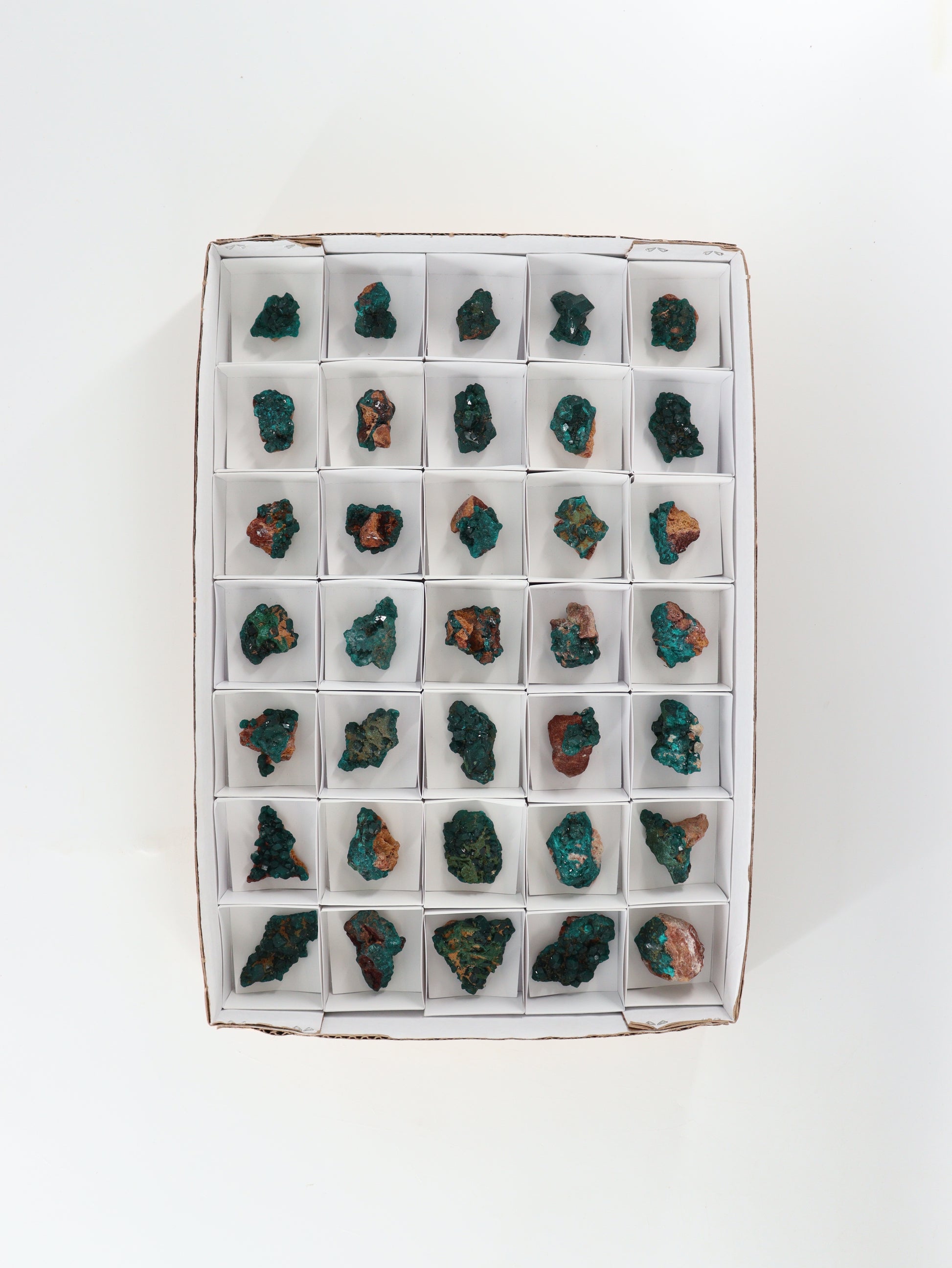 Dioptase Flat - Expert Wholesale and Supplier of Wholesale Crystals & Bulk Gemstones, []