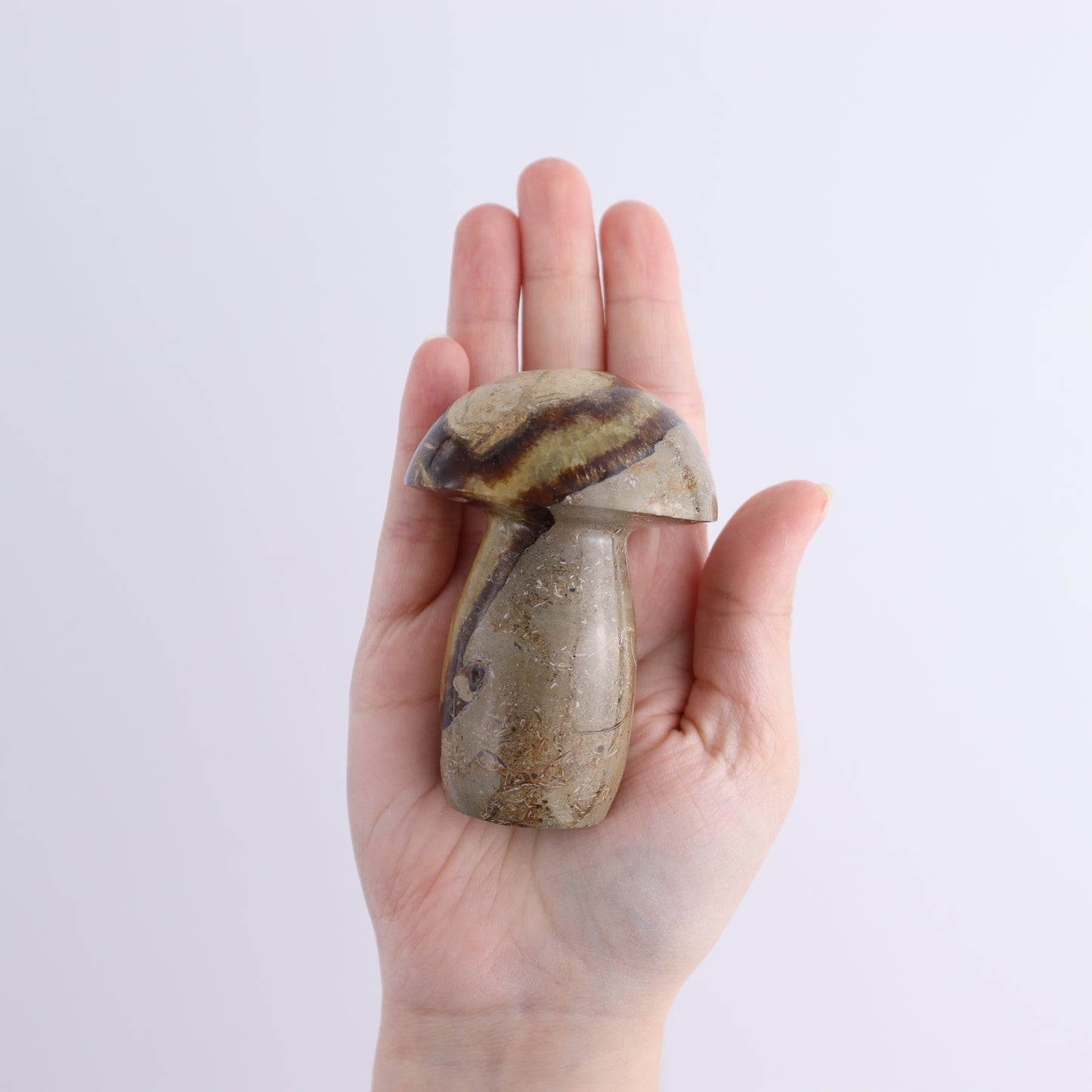 Septarian Mushrooms Set of 9 - Expert Wholesale and Supplier of Wholesale Crystals & Bulk Gemstones, ["Mushrooms","Septarian"]