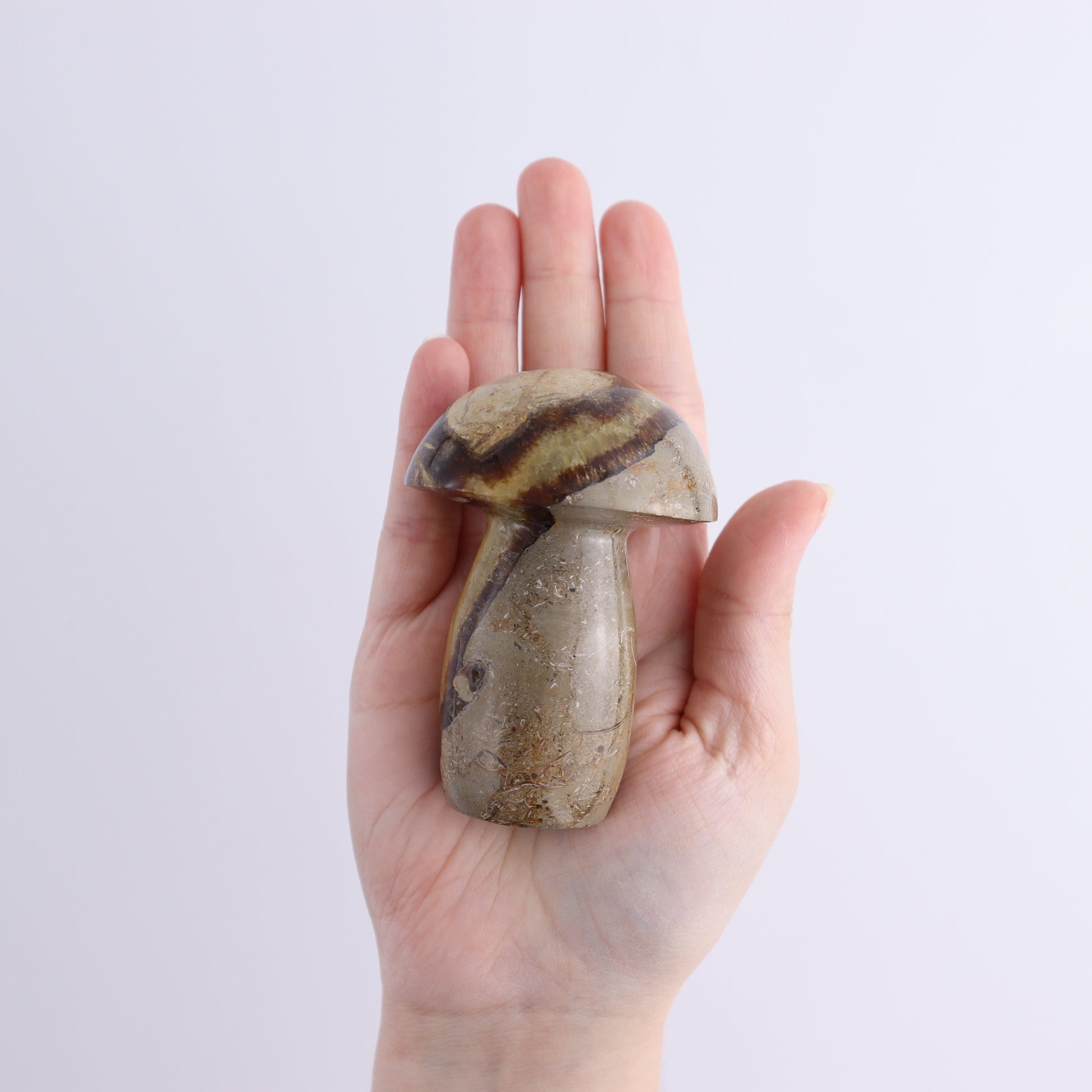 Septarian Mushrooms Set of 9 - Expert Wholesale and Supplier of Wholesale Crystals & Bulk Gemstones, ["Mushrooms","Septarian"]
