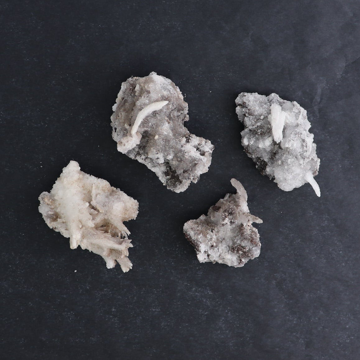 Rams Horn Selenite Flat