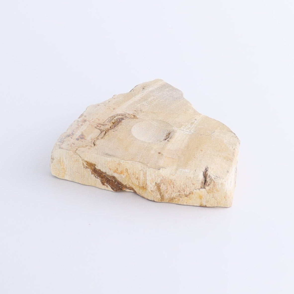 Petrified Wood Sphere Holders Set of 5 - Expert Wholesale and Supplier of Wholesale Crystals & Bulk Gemstones, ["Petrified Wood","sphere holder"]