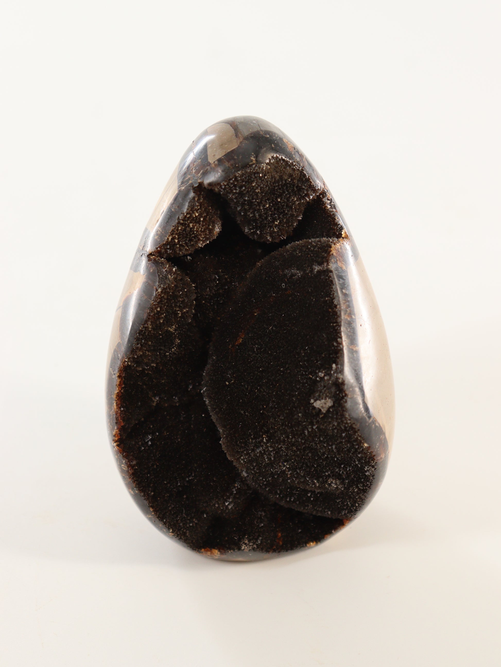 Septarian Cut Bases Set of 4 - Expert Wholesale and Supplier of Wholesale Crystals & Bulk Gemstones, []