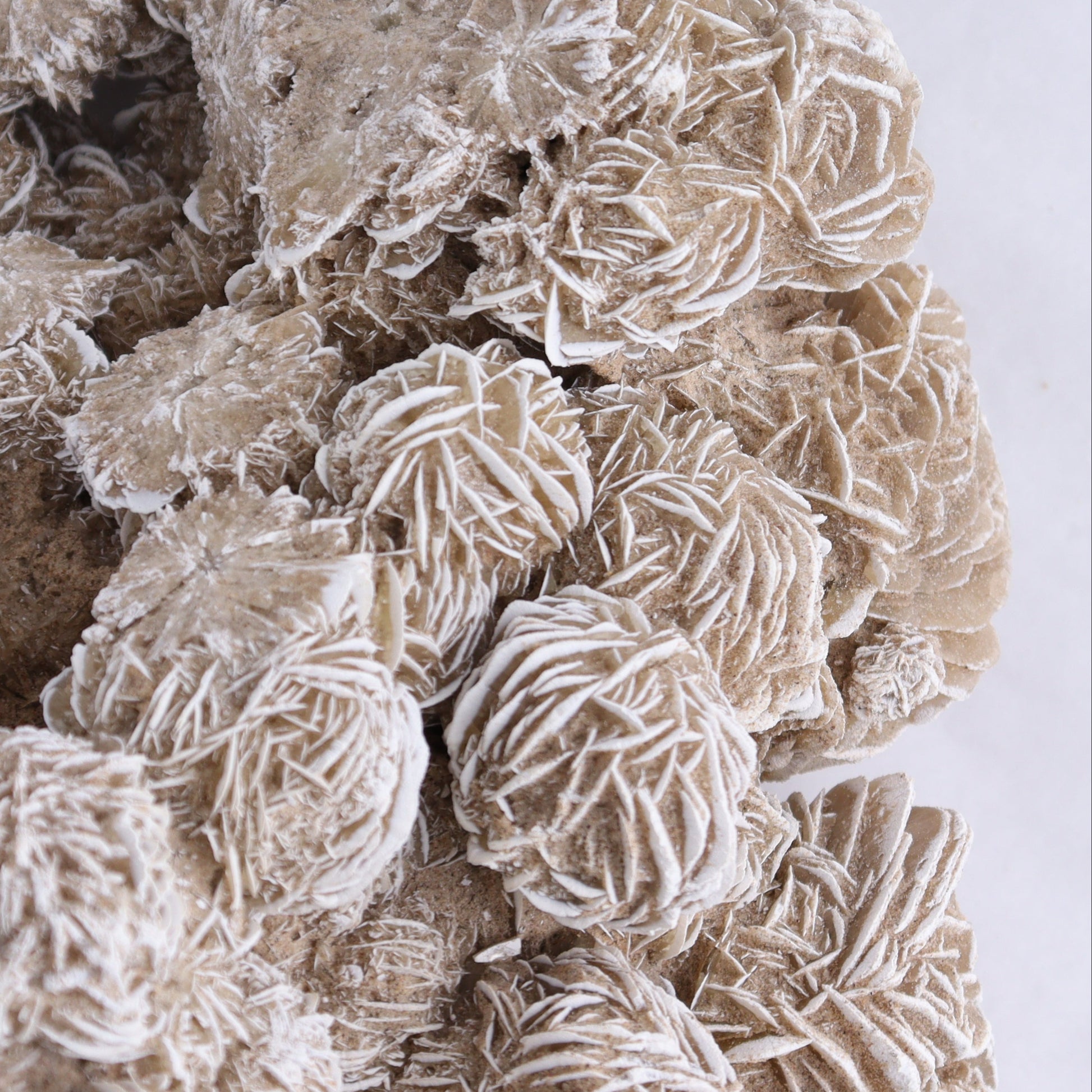 Desert Rose Cluster - Expert Wholesale and Supplier of Wholesale Crystals & Bulk Gemstones, ["Desert Rose","Freeforms"]