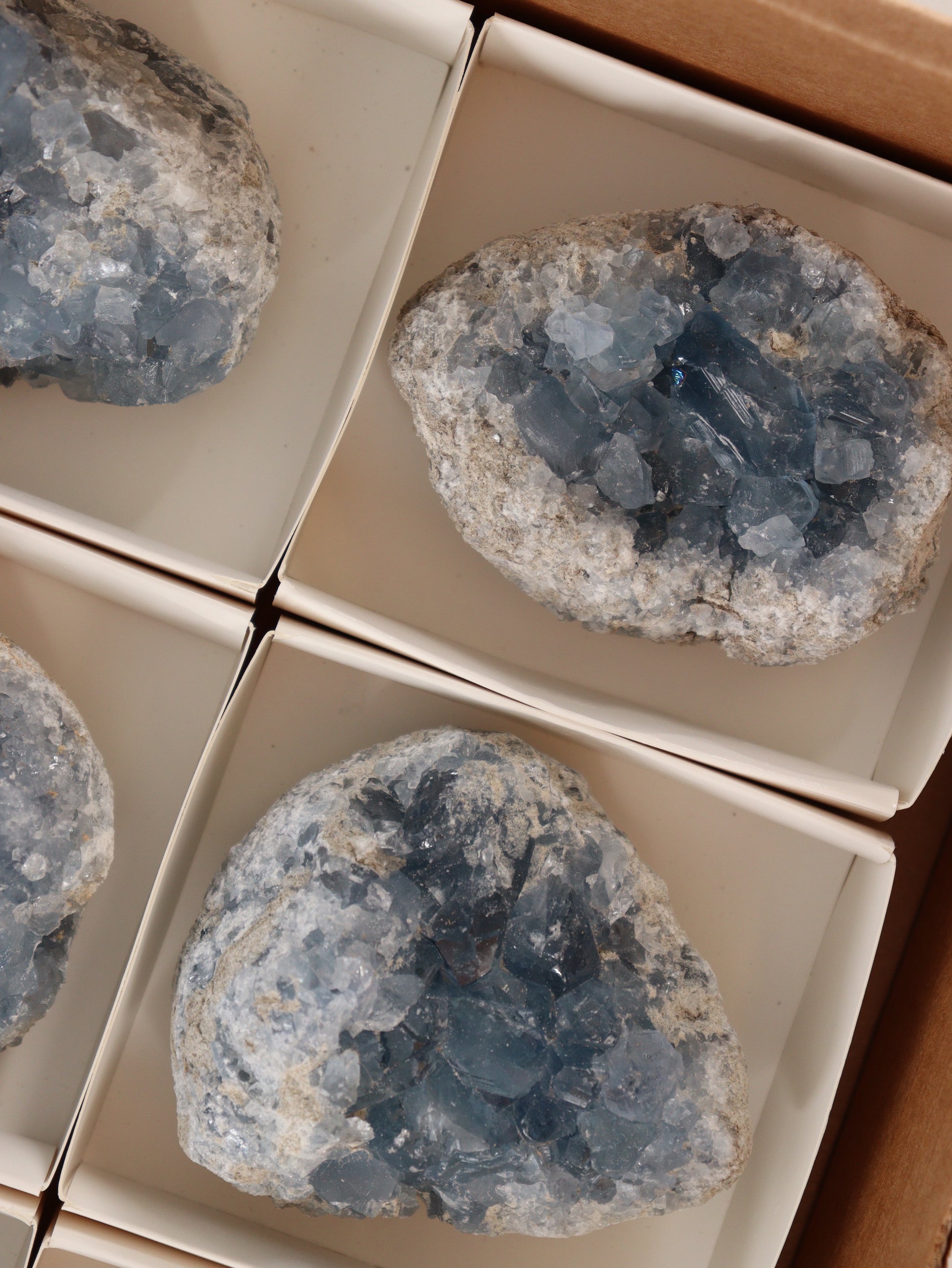 Celestite Clusters Set of 6 - Expert Wholesale and Supplier of Wholesale Crystals & Bulk Gemstones, []