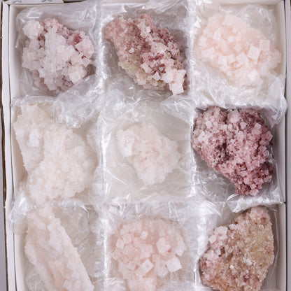 Pink Halite Set of 12 - Expert Wholesale and Supplier of Wholesale Crystals & Bulk Gemstones, ["Flats","Halite","Pink Halite","United States"]