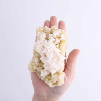 Halite Set of 6 - Expert Wholesale and Supplier of Wholesale Crystals & Bulk Gemstones, ["Halite","halite on trona","United States"]