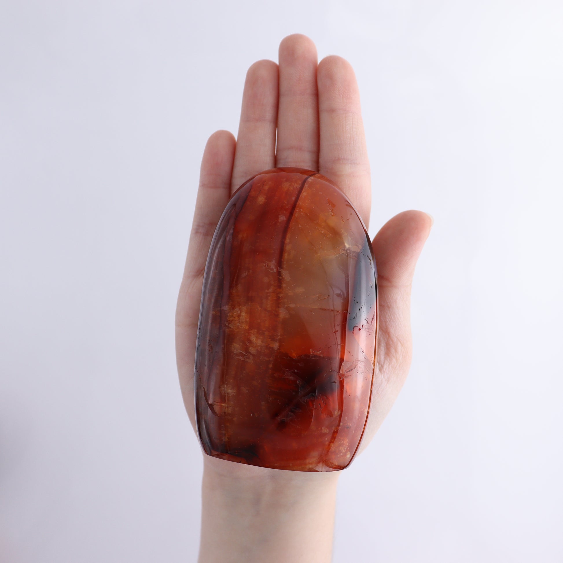 Carnelian Freeform Set of 10 - Expert Wholesale and Supplier of Wholesale Crystals & Bulk Gemstones, ["carnelian","Freeforms","Madagascar"]
